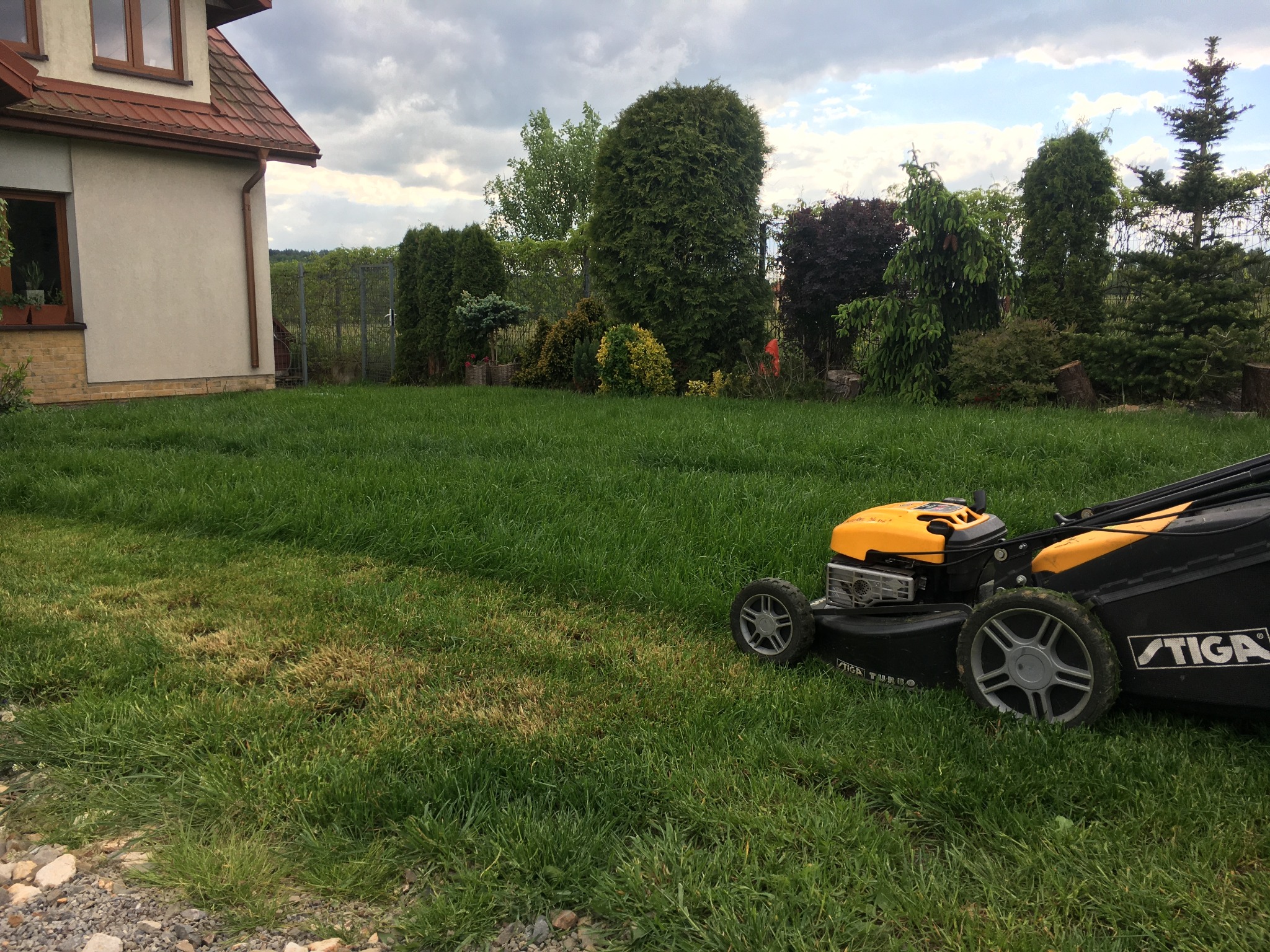 Żółto-czarna kosiarka Stiga na trawniku przed domem z tujami w tle, widoczne nierówności w wysokości trawy.