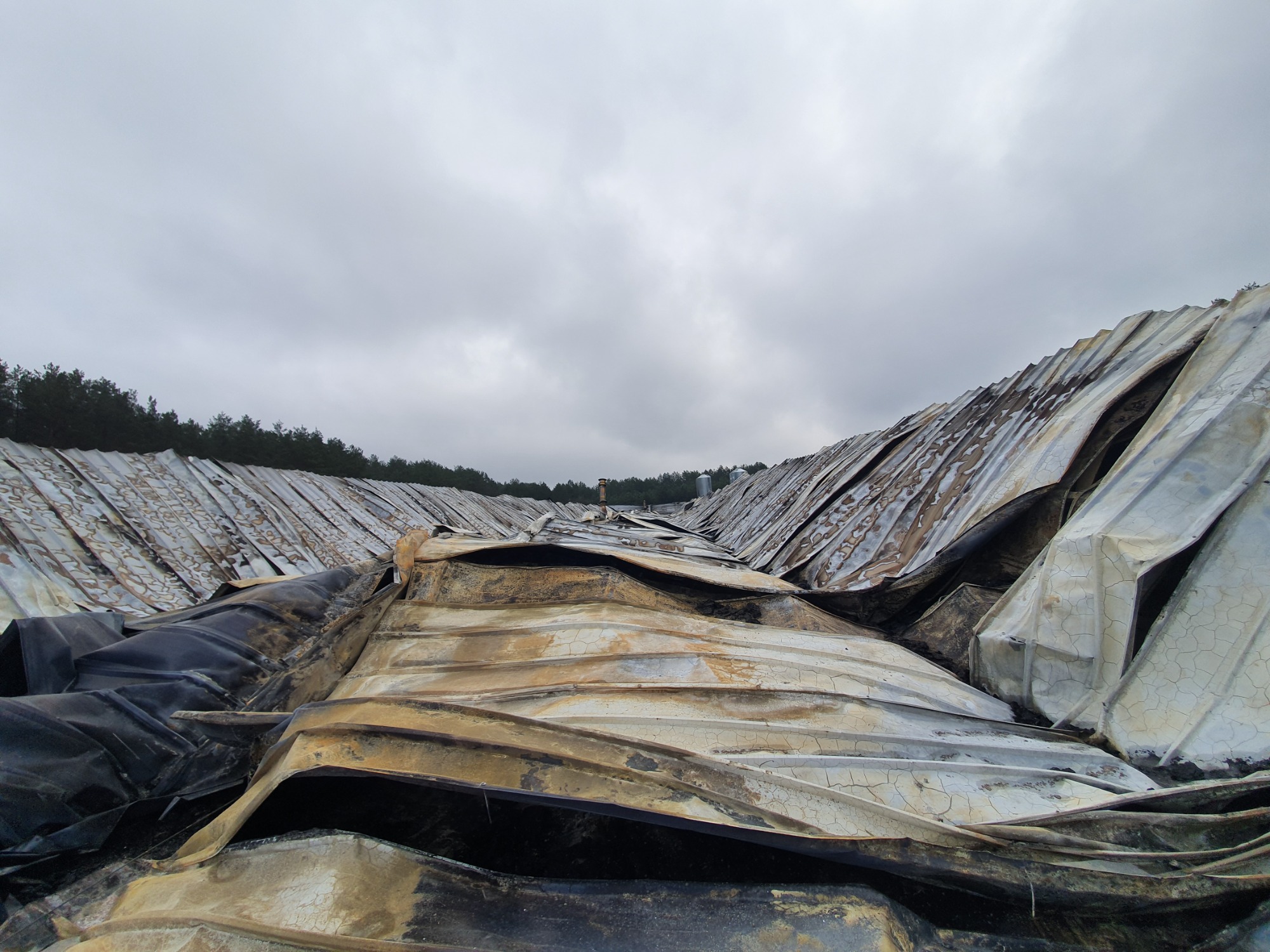 Zniszczona, pognieciona blacha falista po rozbiórce budynku, widoczne elementy konstrukcyjne i fragmenty czarnej folii, w tle pas drzew na horyzoncie pod pochmurnym niebem.