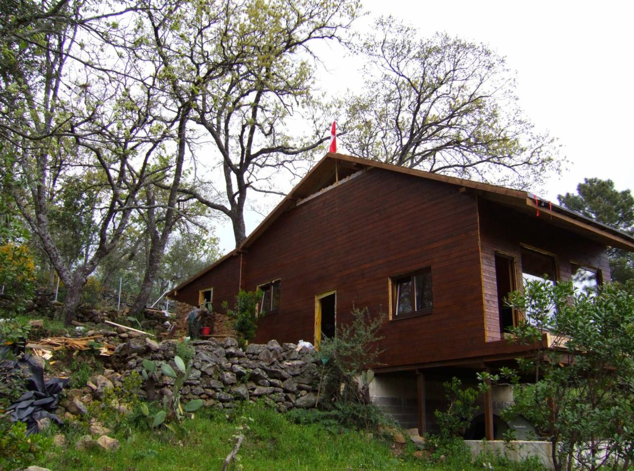 Brązowy dom szkieletowy na podwyższeniu w otoczeniu drzew, z widocznym fragmentem dachu bez pokrycia i czerwoną chorągiewką na szczycie, prace wykończeniowe w toku, teren z kamiennym murkiem...