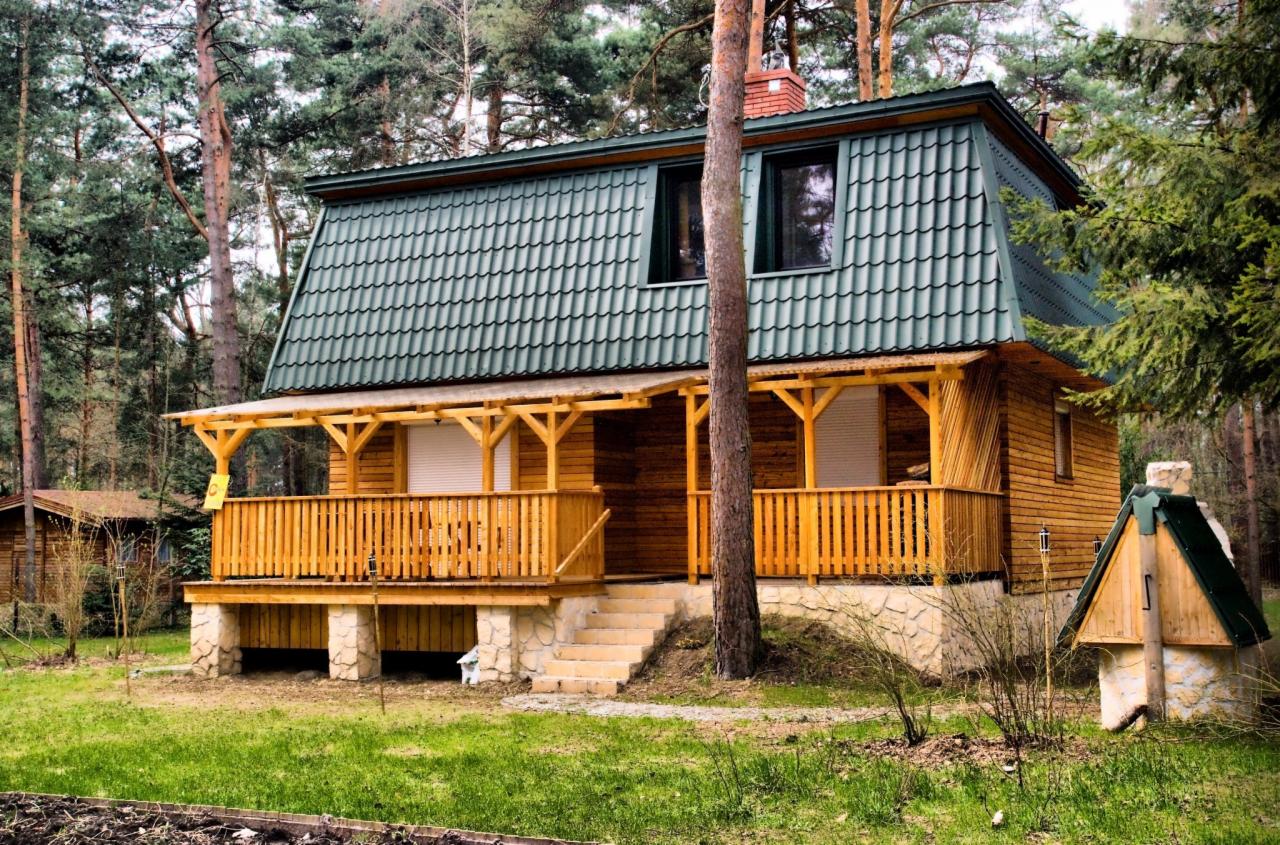 Drewniany dom z zielonym dachem dwuspadowym, widoczny z bliskiej perspektywy, otoczony wysokimi drzewami iglastymi, z werandą i kamienną podmurówką.