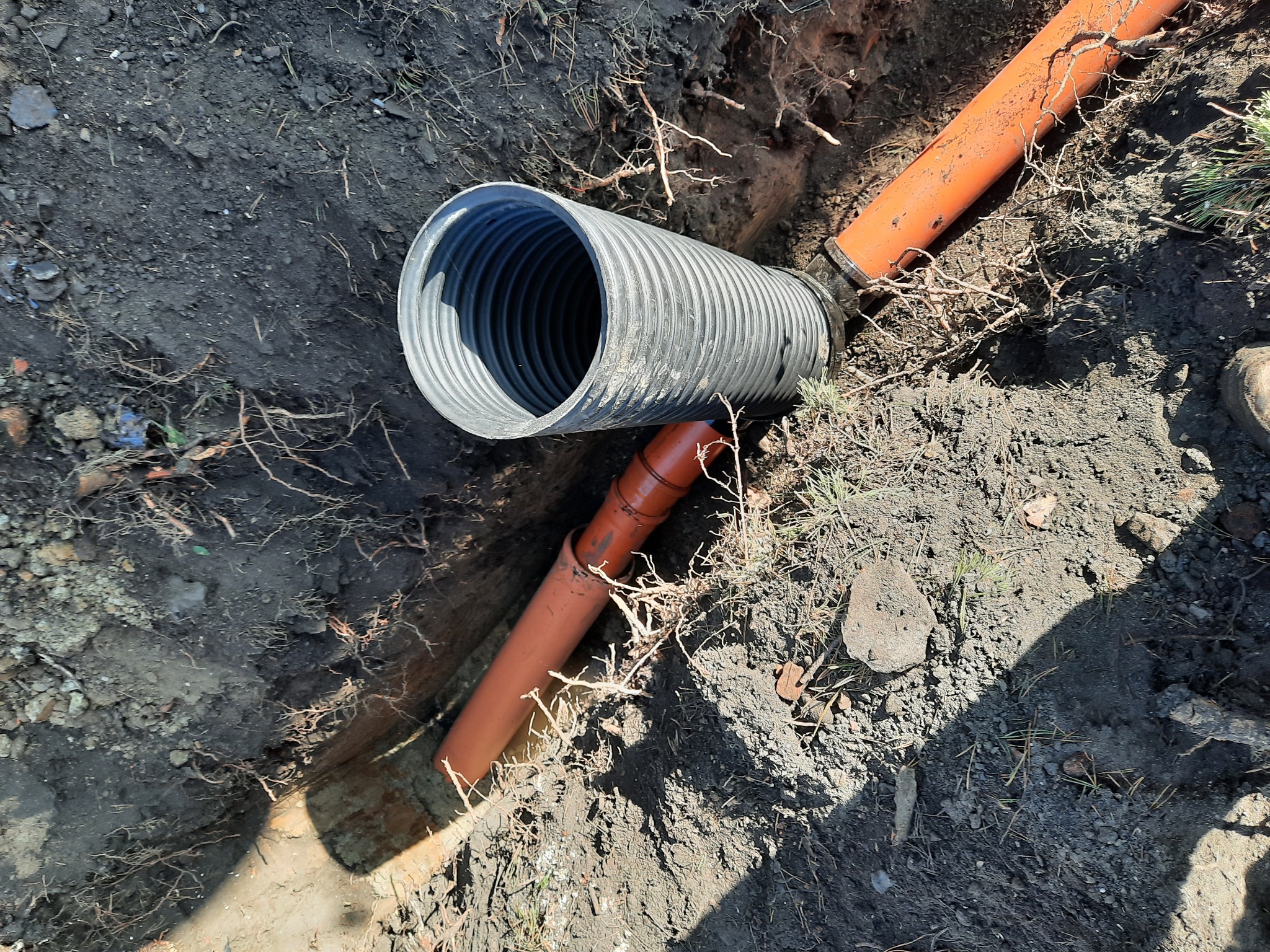 Rura drenarska karbowana czarna połączona z pomarańczową rurą kanalizacyjną w wykopie ziemnym, widoczne korzenie i grudki ziemi.