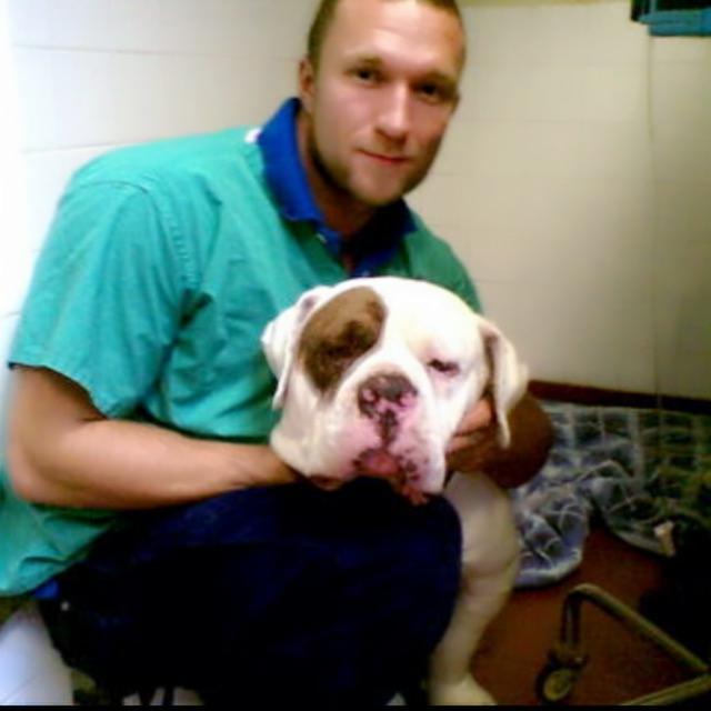 Mężczyzna w zielonej bluzie medycznej trzyma na kolanach białego psa rasy American Bulldog z brązową plamą wokół oka, w tle białe płytki i wózek medyczny.