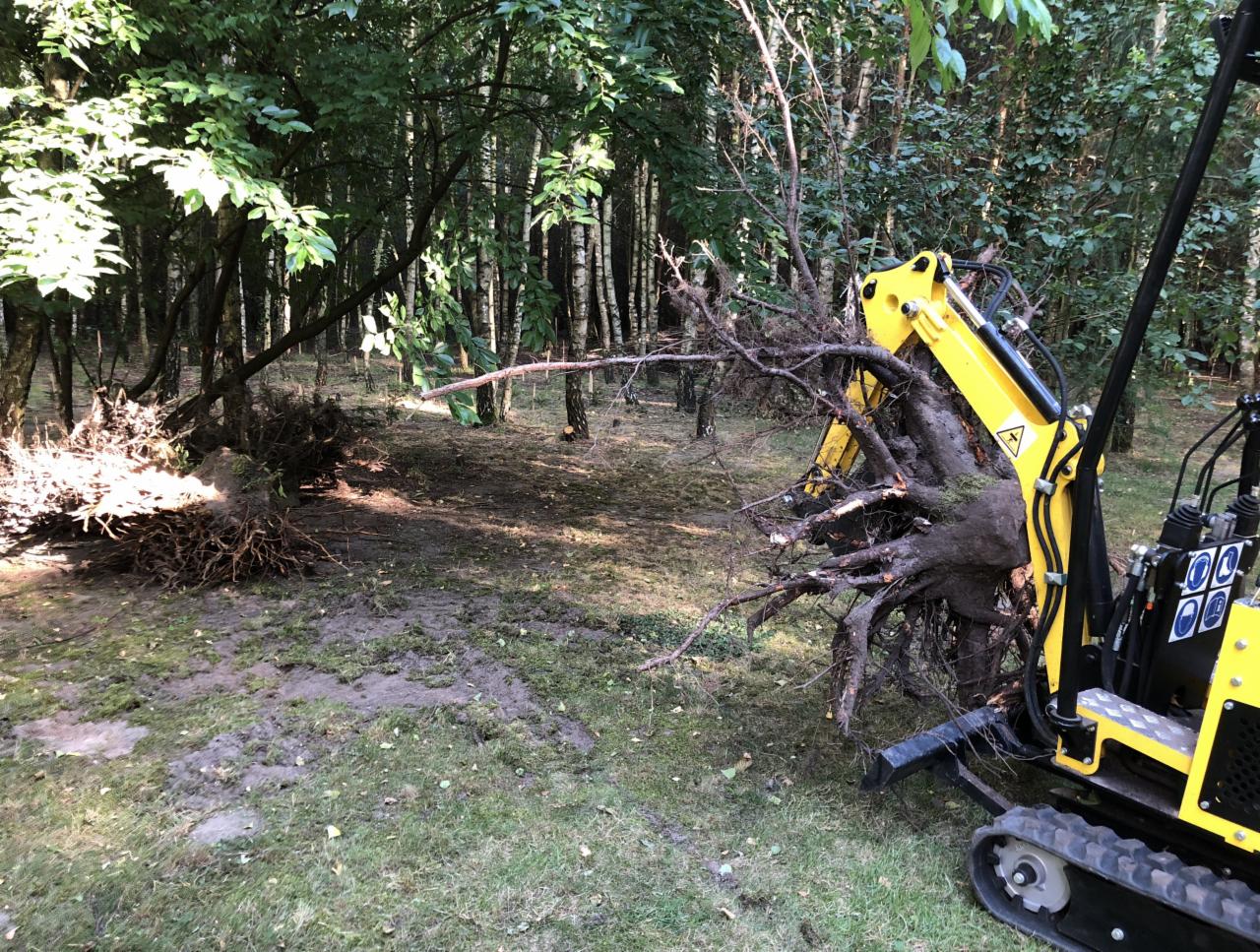 Żółta maszyna budowlana podnosi wyrwany korzeń drzewa na zalesionym terenie, widoczne ślady pracy w ziemi.