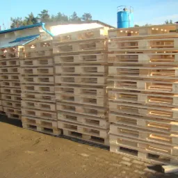 Stosy nowych, jasnych, drewnianych palet ułożonych na zewnątrz budynku przemysłowego z niebieskim dachem i zbiornikiem w tle, oświetlone jasnym światłem słonecznym.