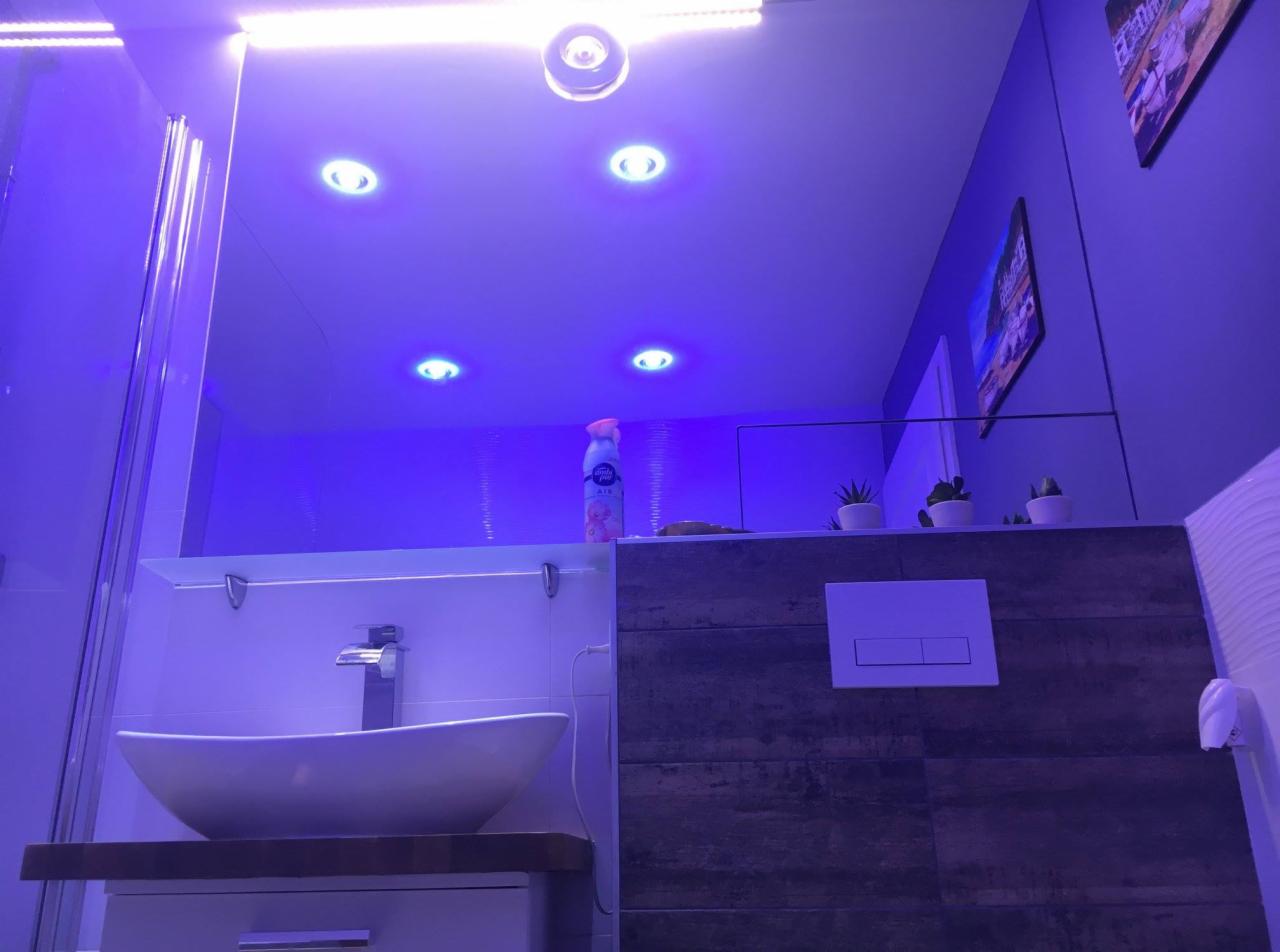 Nowoczesna łazienka z owalną umywalką na drewnianym blacie, podświetlana niebieskim światłem LED, z widoczną armaturą i elementami dekoracyjnymi, takimi jak małe sukulenty na półce.