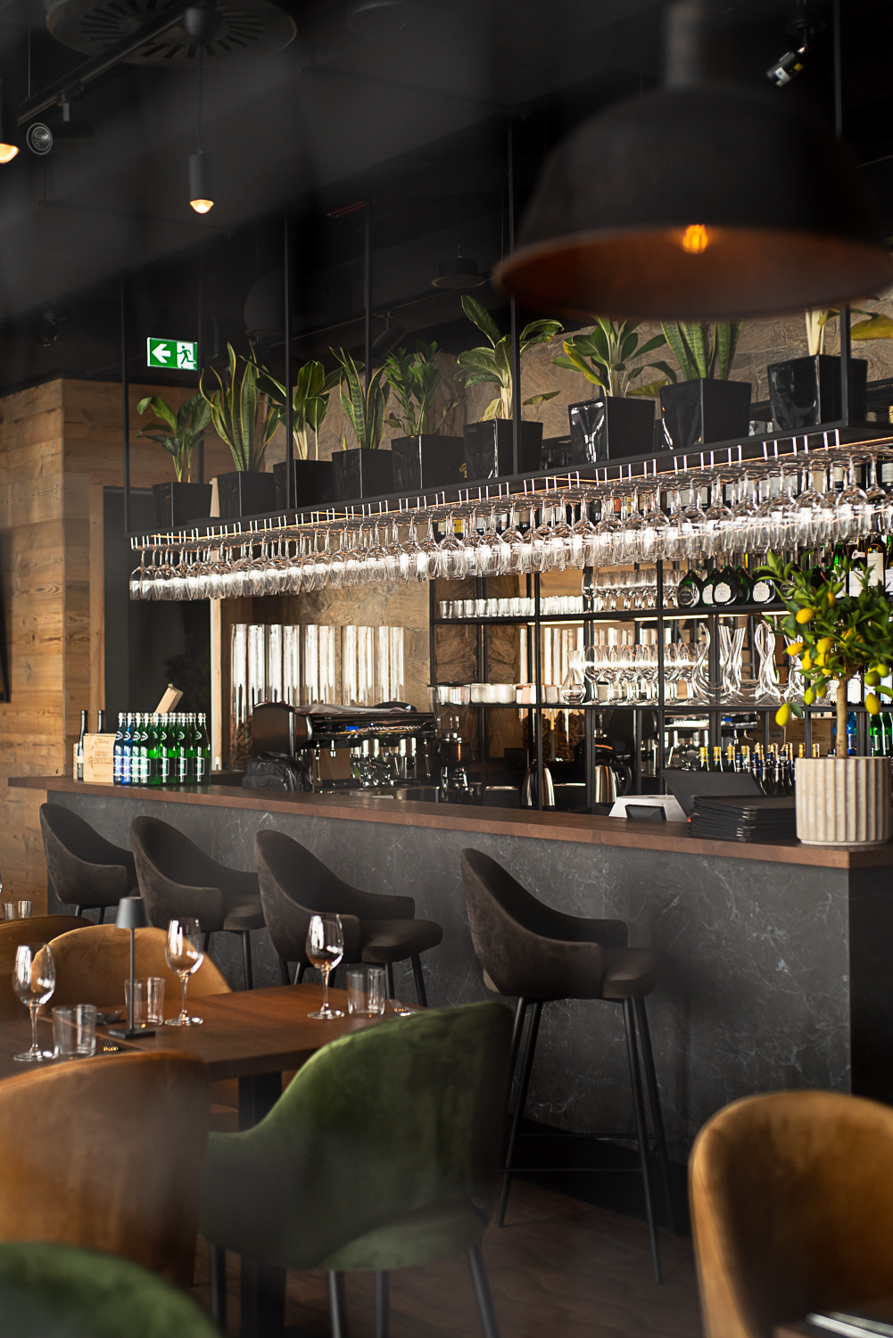 Wnętrze eleganckiego baru z drewnianym blatem, rzędem krzeseł barowych z brązową tapicerką, wiszącymi kieliszkami i roślinami w czarnych donicach na górnej półce. Na stołach przygotowane nakrycia...