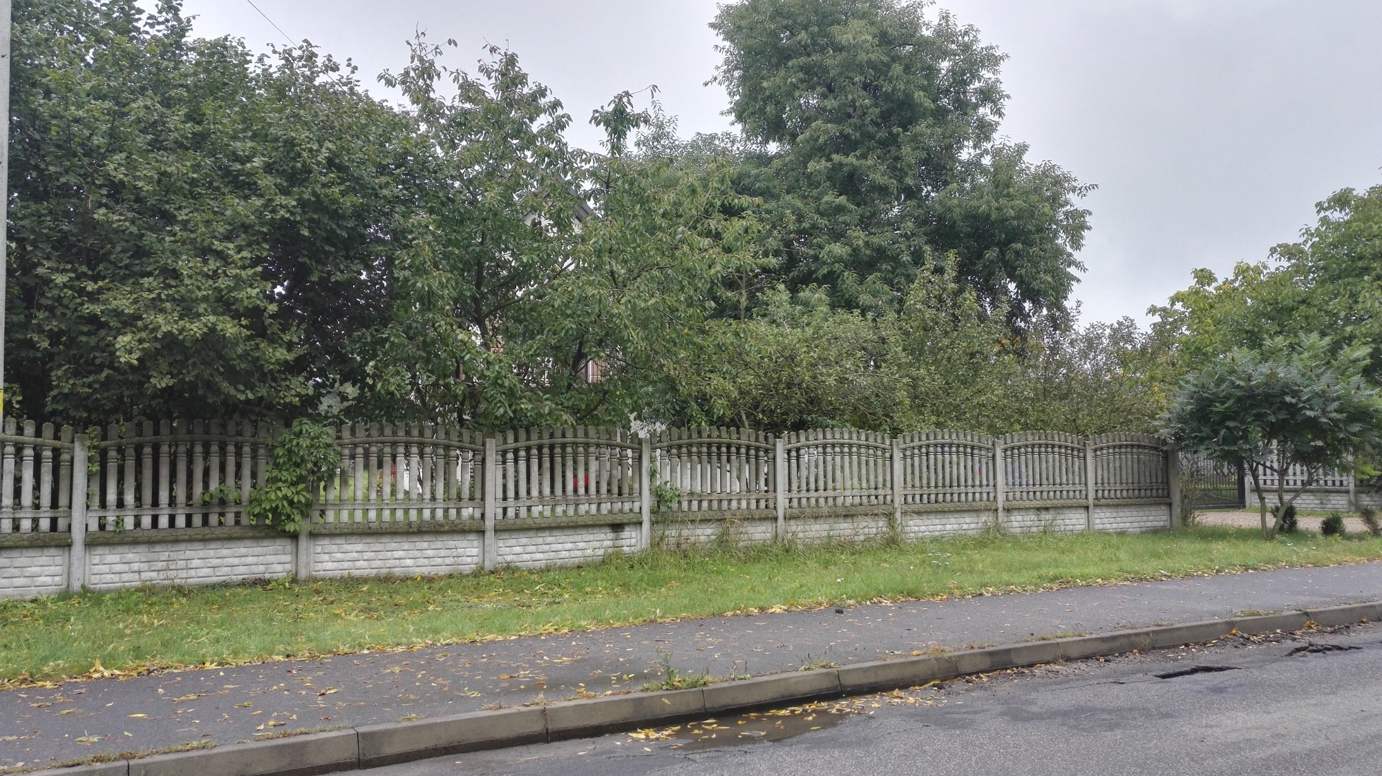 Fragment betonowego ogrodzenia panelowego z dekoracyjnymi elementami, porośniętego częściowo roślinnością, widoczne z ulicy w pochmurny dzień.