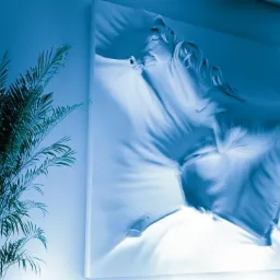 Nowoczesna dekoracja ścienna z podświetlanym motywem konia, otoczona zielonymi roślinami w chłodnym, niebieskim oświetleniu.