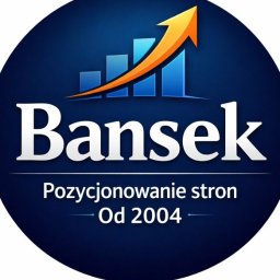 BANSEK POZYCJONOWANIE STRON Ł&Oacute;DŹ - Pozycjonowanie Ł&oacute;dź