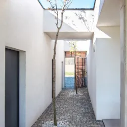Wąski wewnętrzny dziedziniec z brukowaną podłogą, dwoma młodymi drzewkami otoczonymi białymi kamieniami, białymi ścianami i otwartym świetlikiem w suficie, przez który widać błękitne niebo.