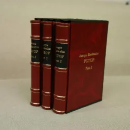 Komplet trzech oprawionych w czerwoną skórę książek Henryka Sienkiewicza 'Potop', tomy 1, 2 i 3, z czarnymi grzbietami i złoconymi napisami, ustawione na jasnym tle.