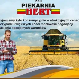 Mężczyzna z tabletem na tle pola i kombajnu zbożowego, nad nim logo piekarni z informacją o skupie żyta konsumpcyjnego.