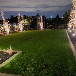 Trawa z rolki Smolec 4