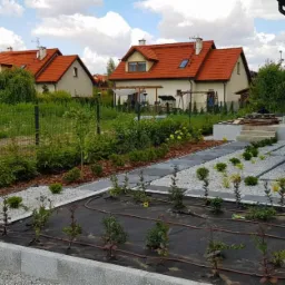 Nowo założony ogr&oacute;d z systemem nawadniania kropelkowego, widoczne sadzonki zabezpieczone agrowł&oacute;kniną, jasne kamyczki, obrzeża z kostki granitowej i ścieżka z płyt betonowych.