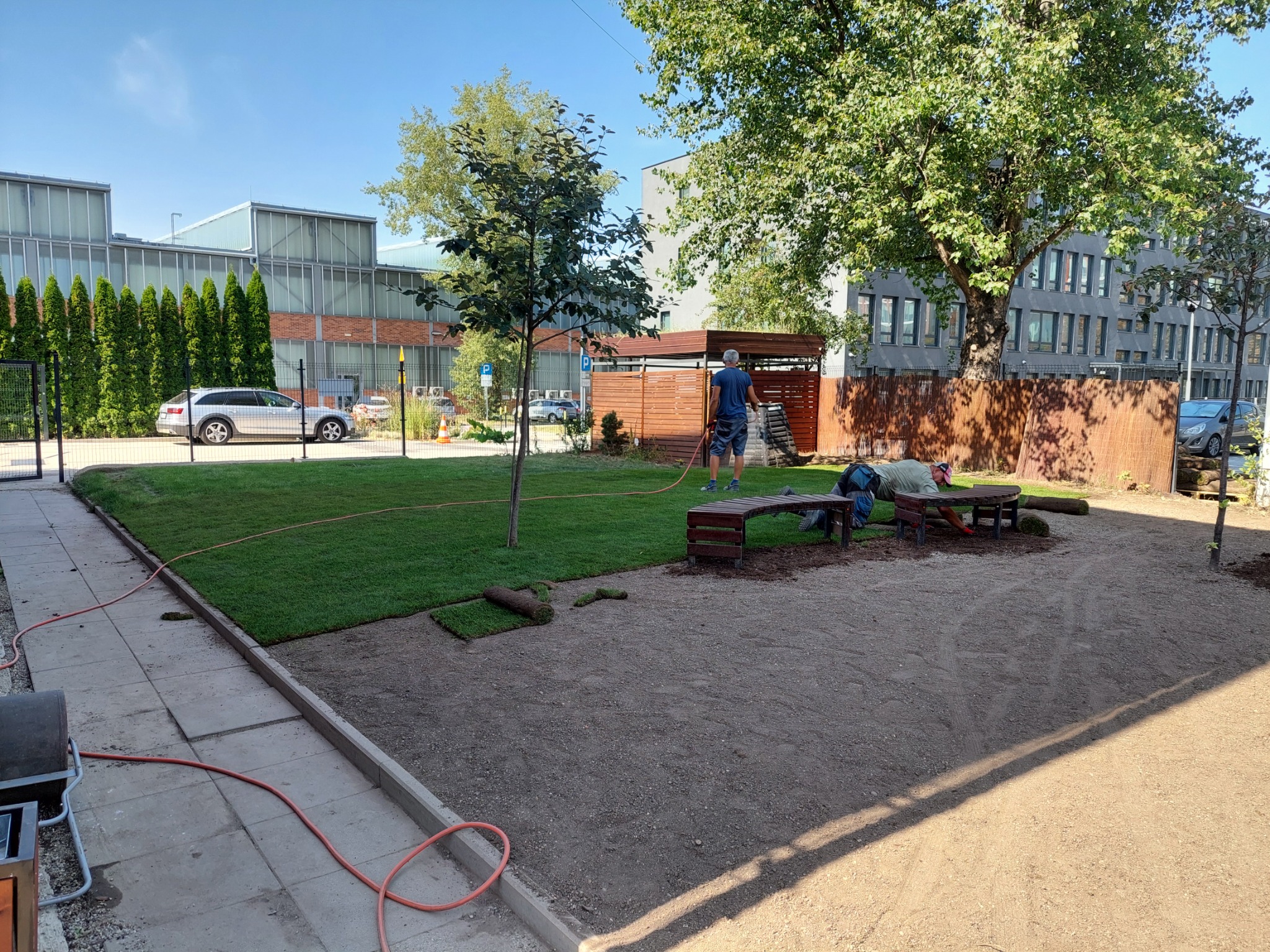 Układanie darni w rolkach na terenie zielonym w otoczeniu budynków biurowych, widoczne narzędzia i pracownicy podczas pracy.