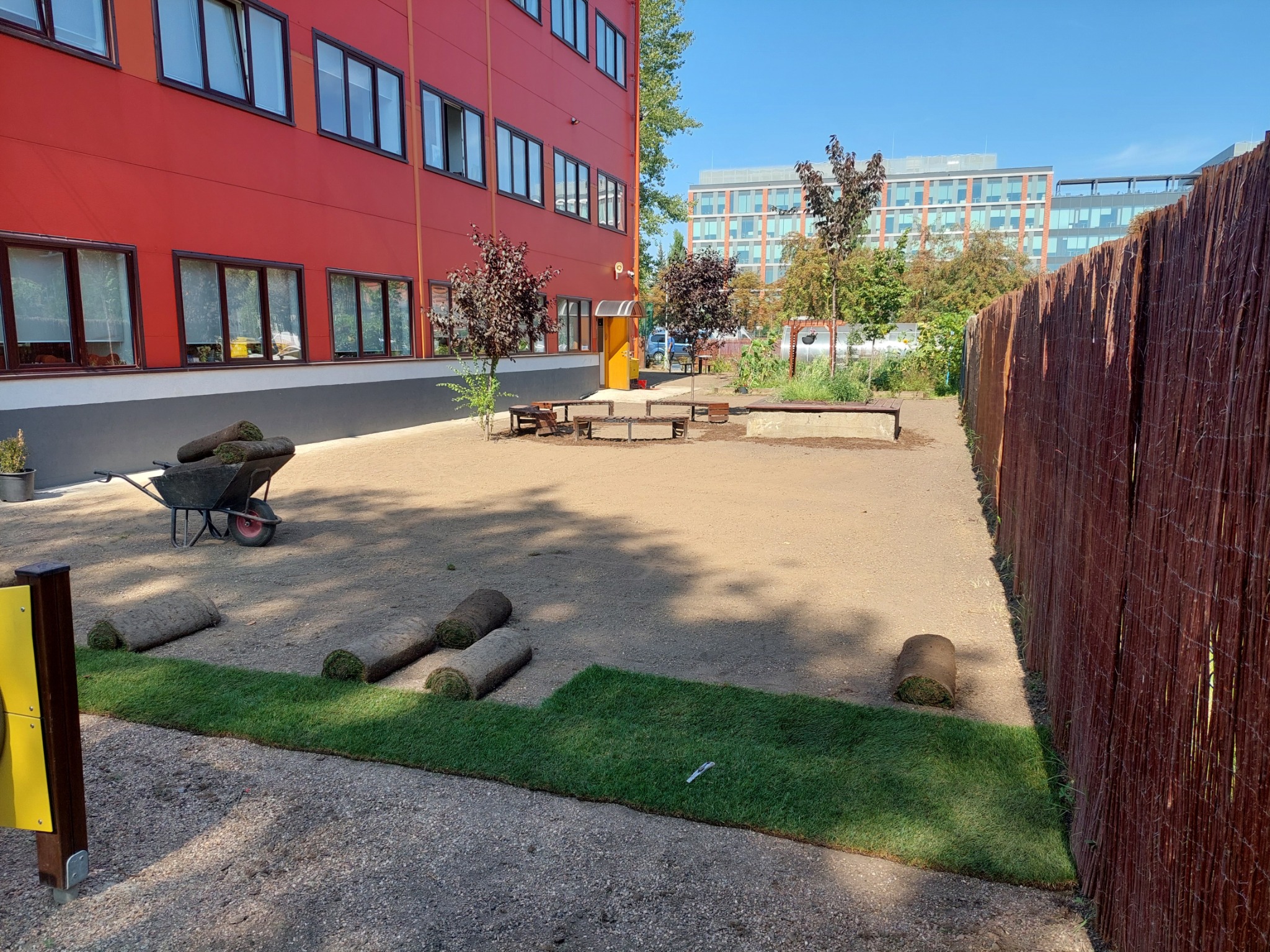 Rozwinięty fragment trawy z rolki na przygotowanym podłożu, obok leżą zwinięte rolki, w tle czerwony budynek i taczka.