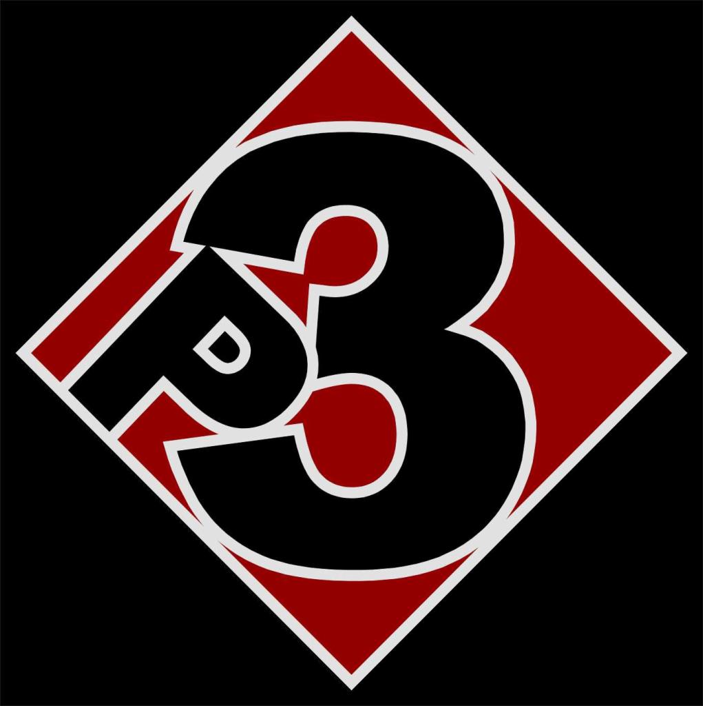 Logo firmy z symbolem 'P3' wkomponowanym w czerwony romb na czarnym tle.