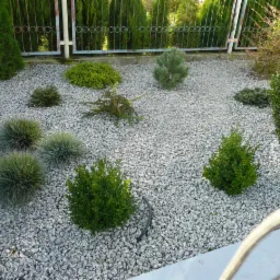 Żwirowy ogródek z różnorodną roślinnością: kuliste trawy ozdobne, małe krzewy iglaste i liściaste, otoczony metalowym ogrodzeniem i wysokimi tujami.