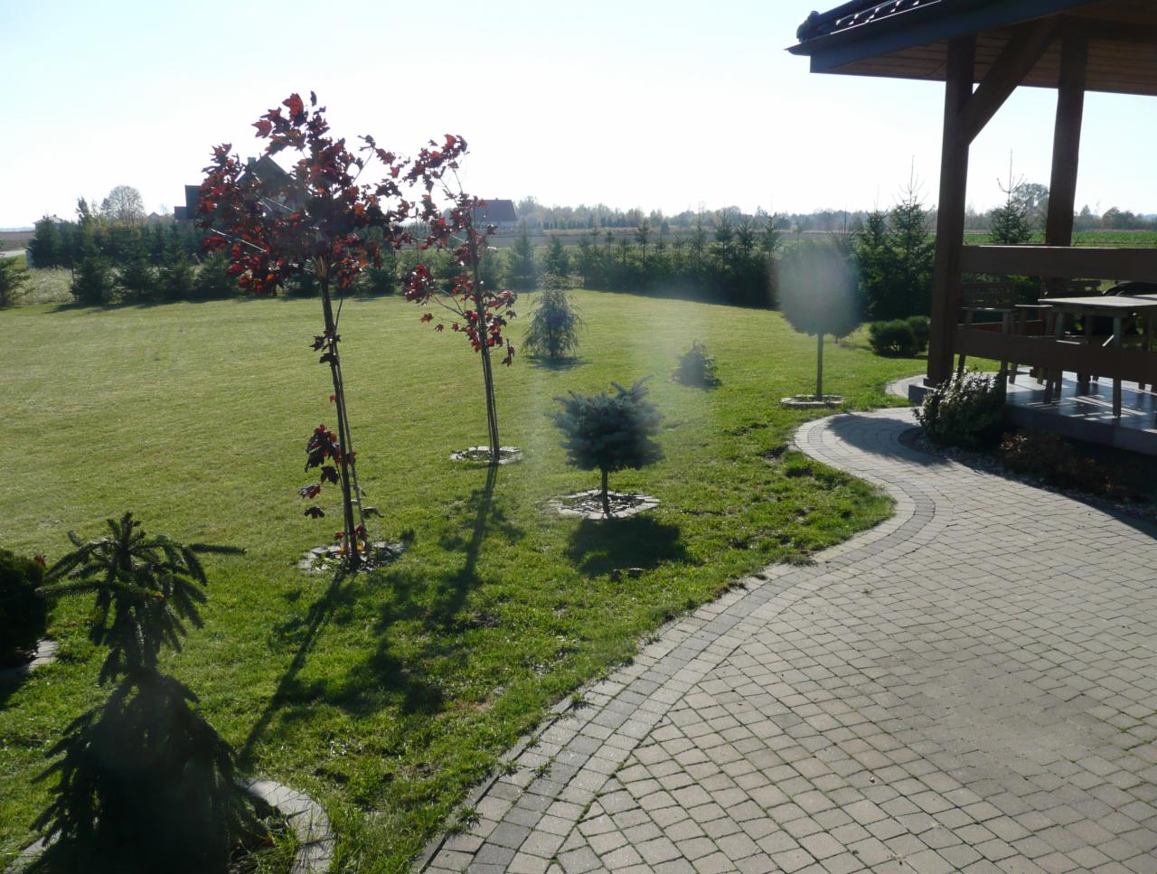 Utrzymany trawnik z młodymi drzewkami o czerwonych liściach, wijąca się ścieżka z kostki brukowej prowadzi do drewnianej altany z widocznym stołem i ławkami.