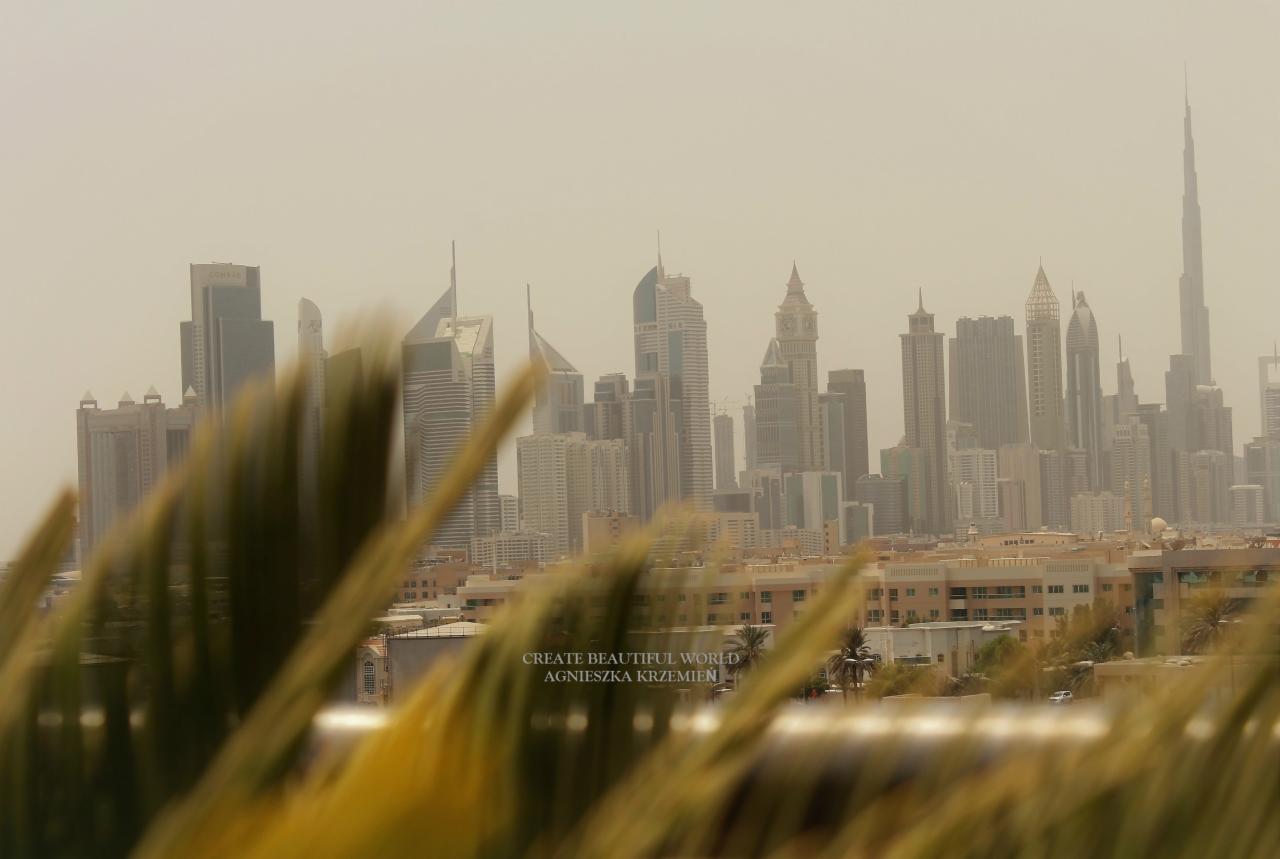 Panorama Dubaju widziana przez źdźbła trawy, z widocznymi drapaczami chmur i Burj Khalifa w tle, w lekkiej mgle.