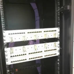 Widok z bliska na panel krosowniczy CAT 5e w szafie rack, z uporządkowanymi fioletowymi kablami sieciowymi.