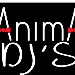 Grupa Animacyjna AniMa - Imprezobusy Chęciny