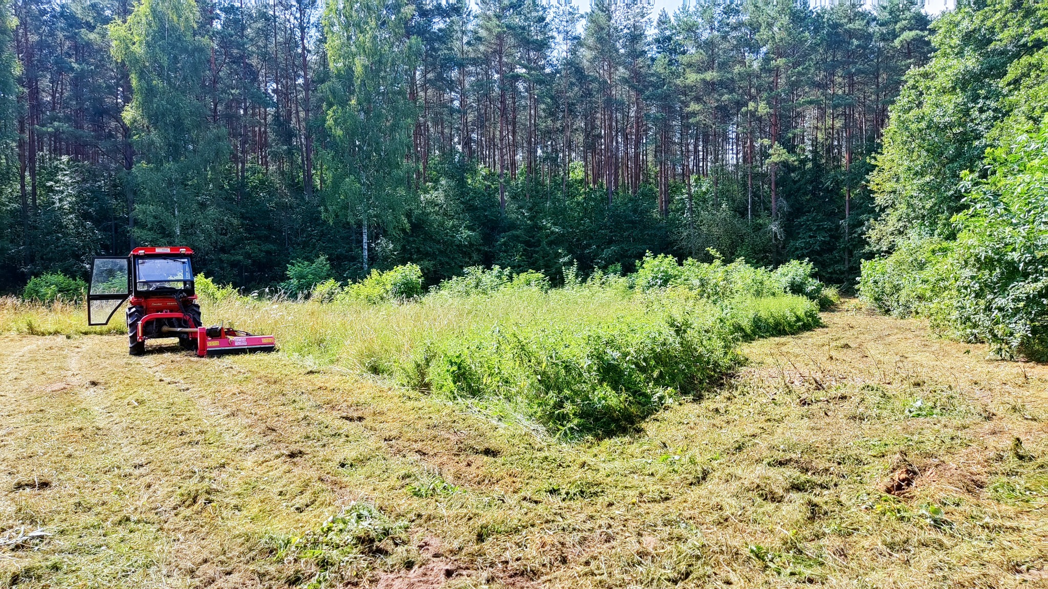 Czerwony traktor z otwartymi drzwiami kabiny, stojący na skoszonej trawie na tle lasu; widoczne ślady koszenia i wysoka trawa w tle.