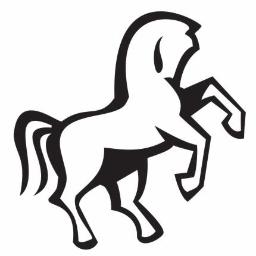 BLACK HORSE Agencja Reklamowa - Oprogramowanie Do Sklepu Internetowego Lubin