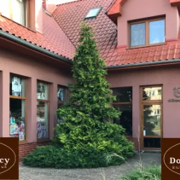 Budynek biura rachunkowego z zielonym drzewkiem przed wejściem, widoczne okna z reklamami i logo firmy w dolnej części zdjęcia.