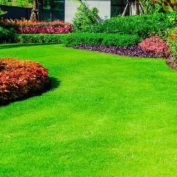 Perfekcyjnie utrzymany trawnik z równo przyciętą trawą i różnobarwnymi rabatami kwiatowymi oraz krzewami, tworzącymi dekoracyjne obramowania w ogrodzie.