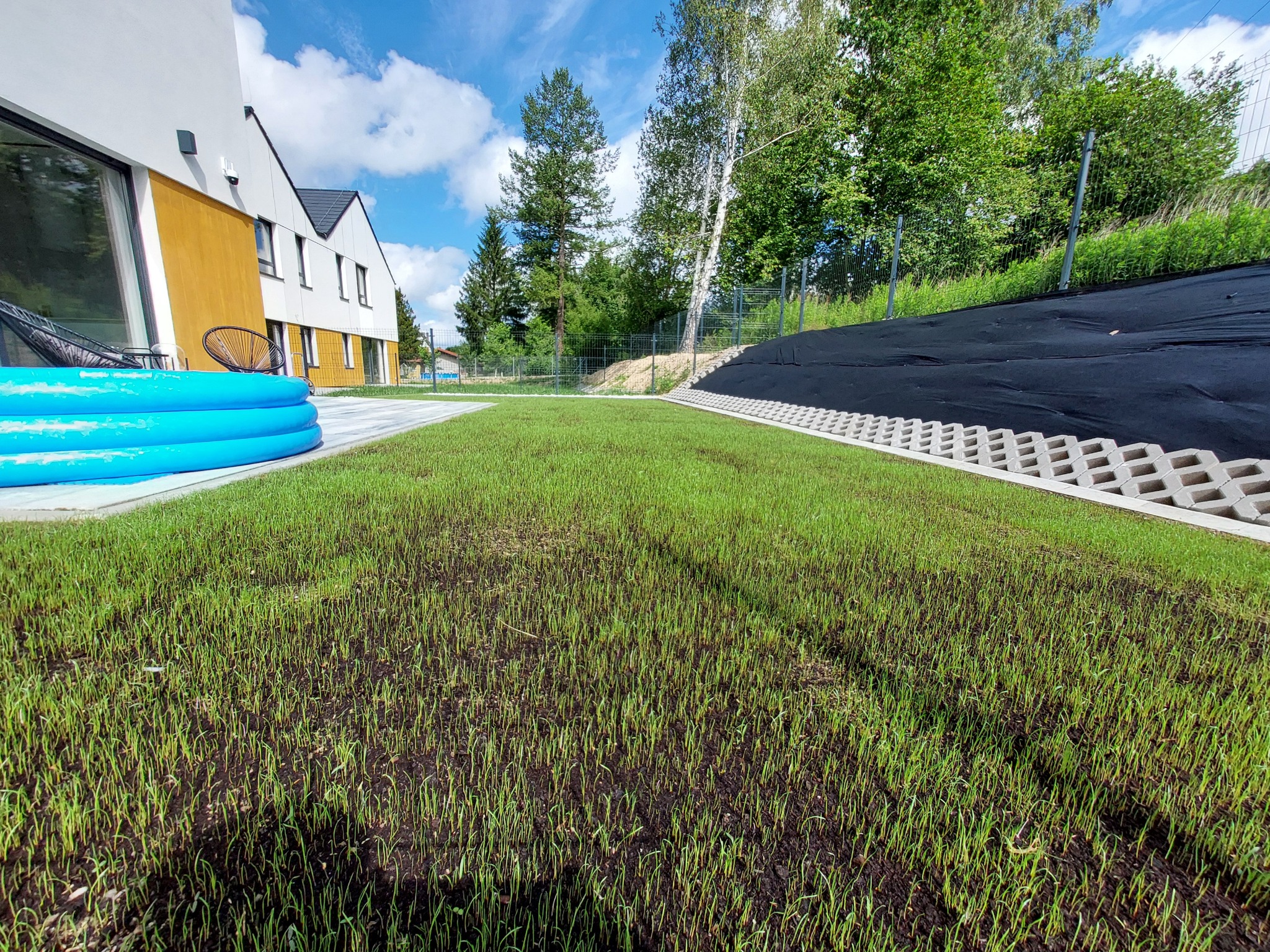 Świeżo posiana trawa na działce z widocznym basenem ogrodowym, kostką ażurową i nowoczesnym domem w tle.