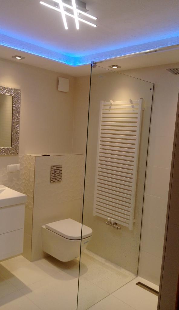 Nowoczesna łazienka z kabiną prysznicową oddzieloną szybą, podwieszaną toaletą, grzejnikiem drabinkowym i oświetleniem LED w suficie.