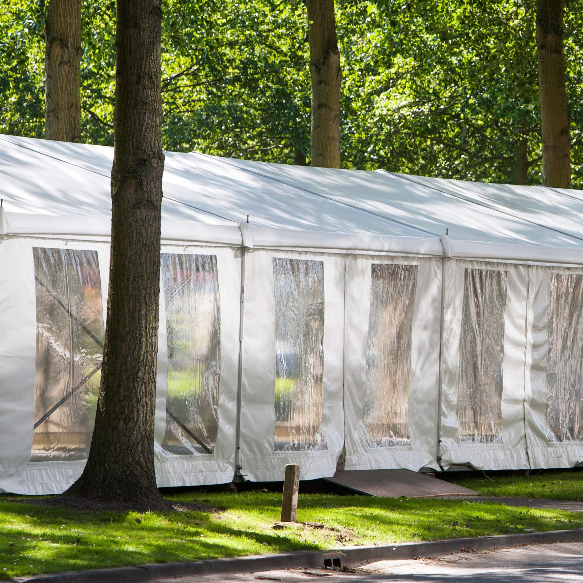 Długi, biały namiot z przezroczystymi oknami ustawiony na trawie, częściowo zasłonięty przez pień drzewa.