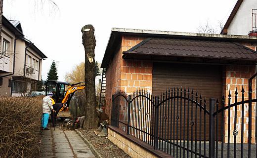 Karczowanie drzew