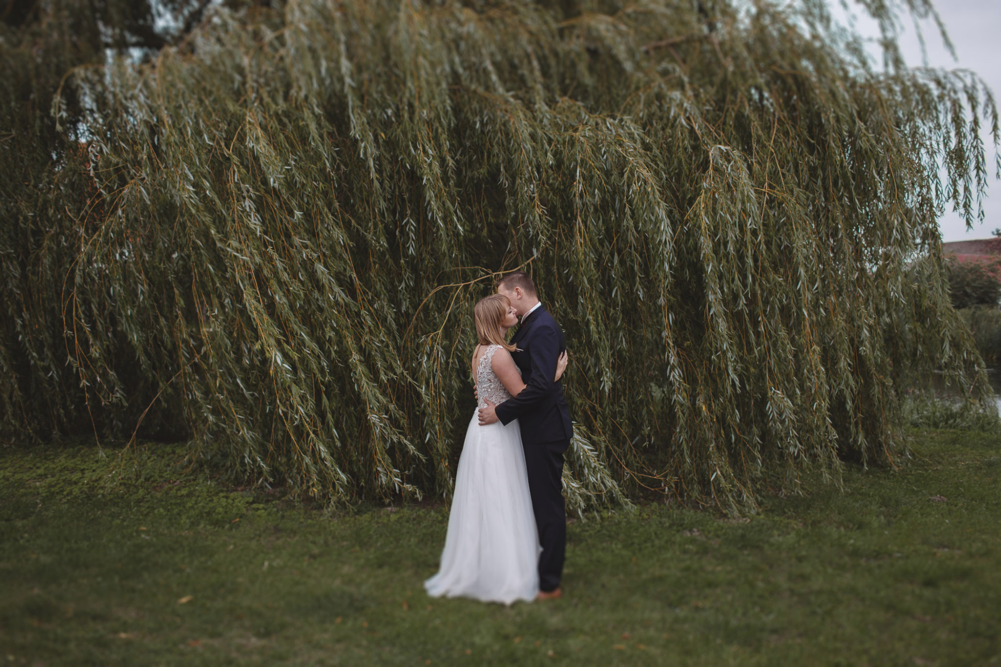 Para młoda w objęciach pod rozłożystą wierzbą płaczącą, panna młoda w białej sukni z koronkową górą, pan młody w granatowym garniturze, pocałunek w czoło.