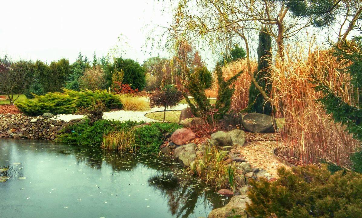 Oczko wodne z kamiennym brzegiem i różnorodną roślinnością ozdobną, w tle ścieżka wysypana żwirem i drzewa.