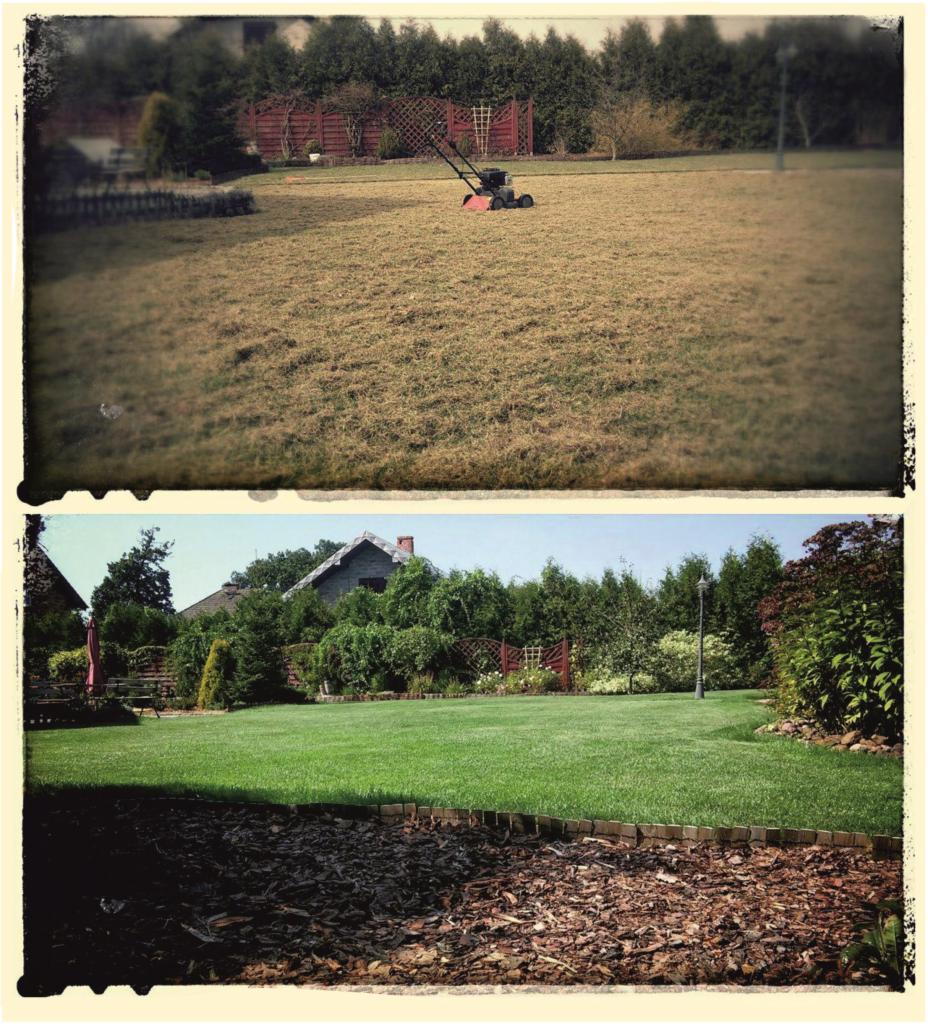 Porównanie trawnika przed i po koszeniu: górna część ukazuje wysuszoną trawę i kosiarkę w oddali, dolna część prezentuje równo przystrzyżony, zielony trawnik z ozdobną rabatą z kory.