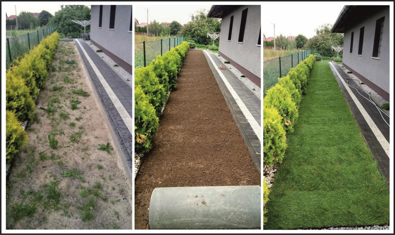 Trzyetapowa metamorfoza trawnika: od zaniedbanego gruntu z chwastami, przez wyrównaną ziemię z wałem do ubijania, po świeżą, zieloną trawę rolowaną wzdłuż chodnika z kostki i żywopłotu z tui.