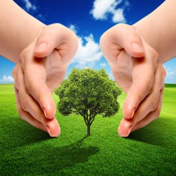 Kontenery na gruz Zielona Góra 1