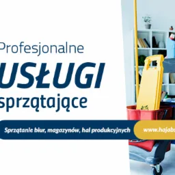 Grafika reklamowa: Profesjonalne usługi sprzątające, prezentująca żółtą maszynę do mycia podłóg, wózek z akcesoriami do sprzątania oraz kobietę czyszczącą biurko w biurze.