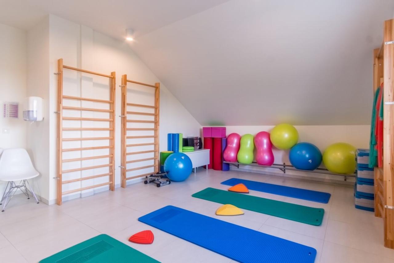 Jasne pomieszczenie do ćwiczeń z drabinkami gimnastycznymi, matami w kolorach niebieskim i zielonym oraz różnokolorowymi piłkami i wałkami do ćwiczeń.