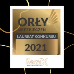 Zdjęcie nagrody 'Orły Ubezpieczeń' za rok 2021, z logo firmy KamiX u dołu, umieszczone w ramce polaroid na czarnym tle ze złotymi, nieregularnymi liniami.