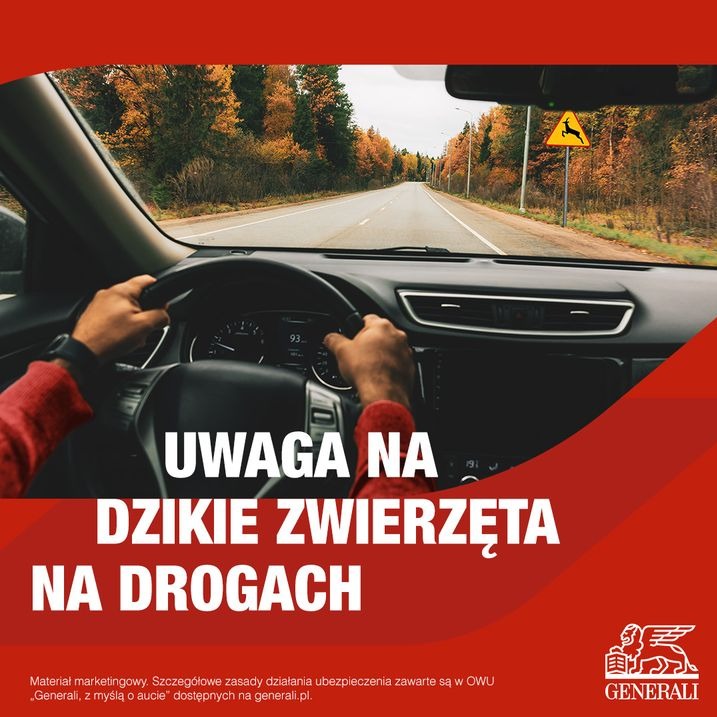 Ubezpieczenie AC pełni taką funkcje , jest pocałunek z dzikiem czy sarną jest wypłata .