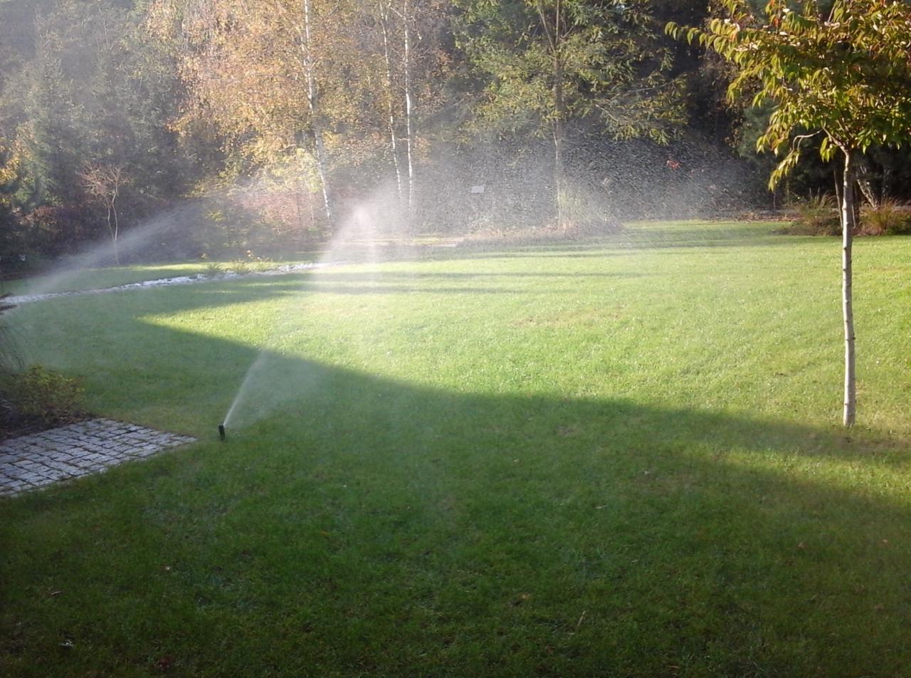 Automatyczny system nawadniania trawnika w ogrodzie z widocznymi dyszami rozpylającymi wodę, oświetlony popołudniowym słońcem.