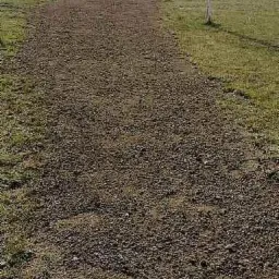 Wyrównany, ubity pas ziemi na trawiastym terenie, widoczne ślady po maszynach, w tle rząd krzewów i fragment przygotowanego podłoża.