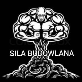 Lenart - bud - Elewacje Andrespol