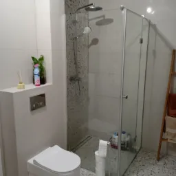 Nowoczesna łazienka z toaletą podwieszaną, kabiną prysznicową ze szklanymi drzwiami, płytkami lastryko na podłodze i ścianie prysznica, oraz dekoracyjnymi elementami jak dyfuzor zapachowy i rośliny...