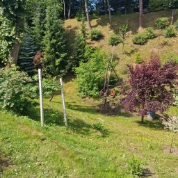 TBR SP Z O.O. - Wiercenie studni na zielonym, pochyłym terenie ogrodu, z widoczną wiertnicą trójnożną i dwoma osobami. W tle bujne drzewa i krzewy, w tym charakterystyczne czerwone drzewo.
