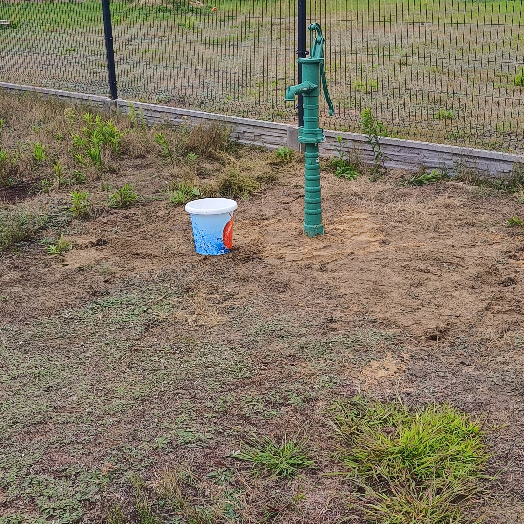 Zielona pompa ręczna do wody na zewnątrz, obok stoi wiadro z motywem wodnym, teren wyrównany, trawa oraz ogrodzenie panelowe w tle.