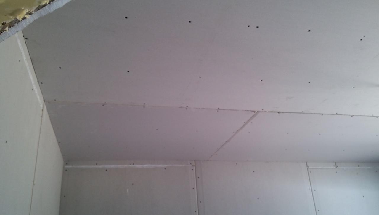 Widok na sufit i fragment ściany w trakcie montażu płyt gipsowo-kartonowych, widoczne wkręty mocujące i łączenia płyt.